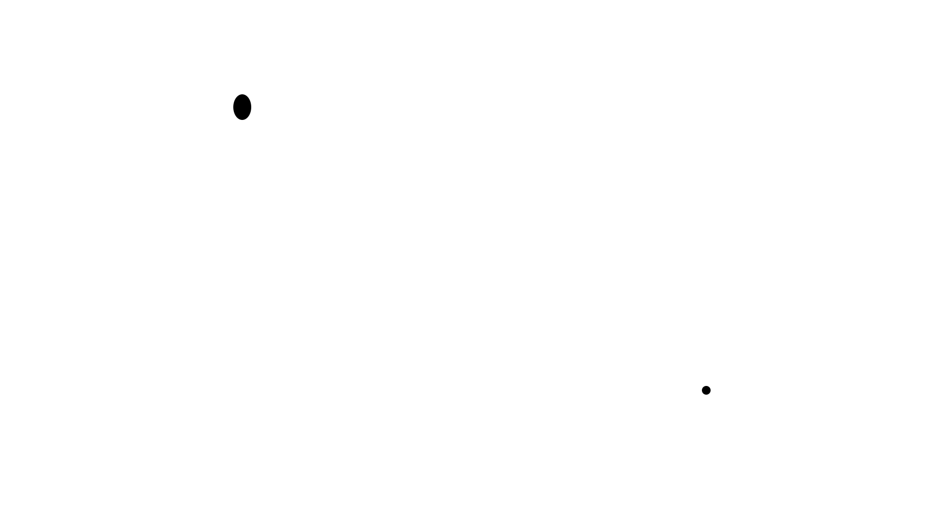 mini-labradoodle-petz-advice