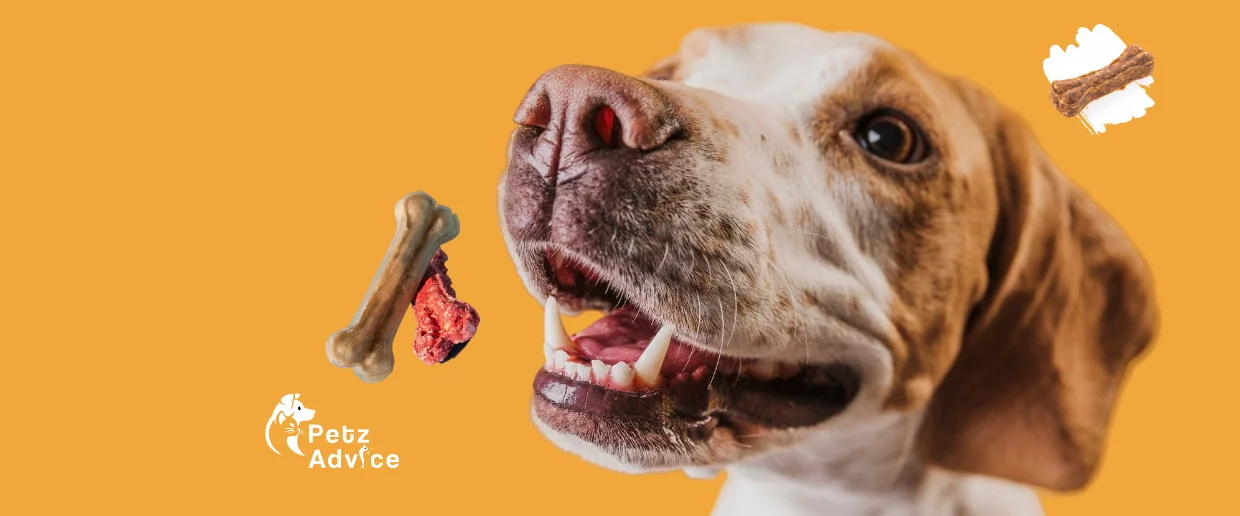 What happens if you give a dog a treat?
