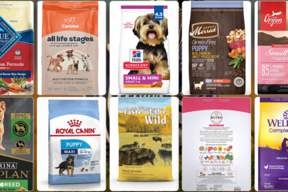 Best Dog Foods 2024 | The Strategist | Dog