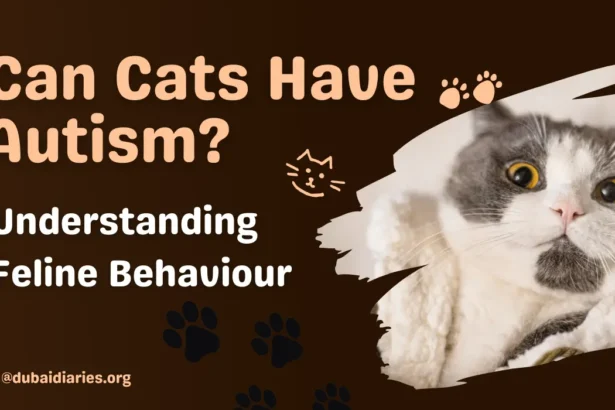 Can Cats Have Autism? Understanding Feline Behavior