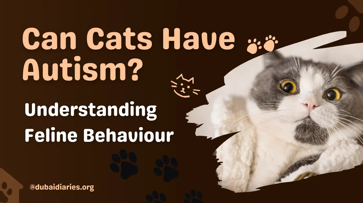 Can Cats Have Autism? Understanding Feline Behavior