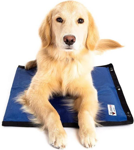 The ice-filled CoolerDog mat