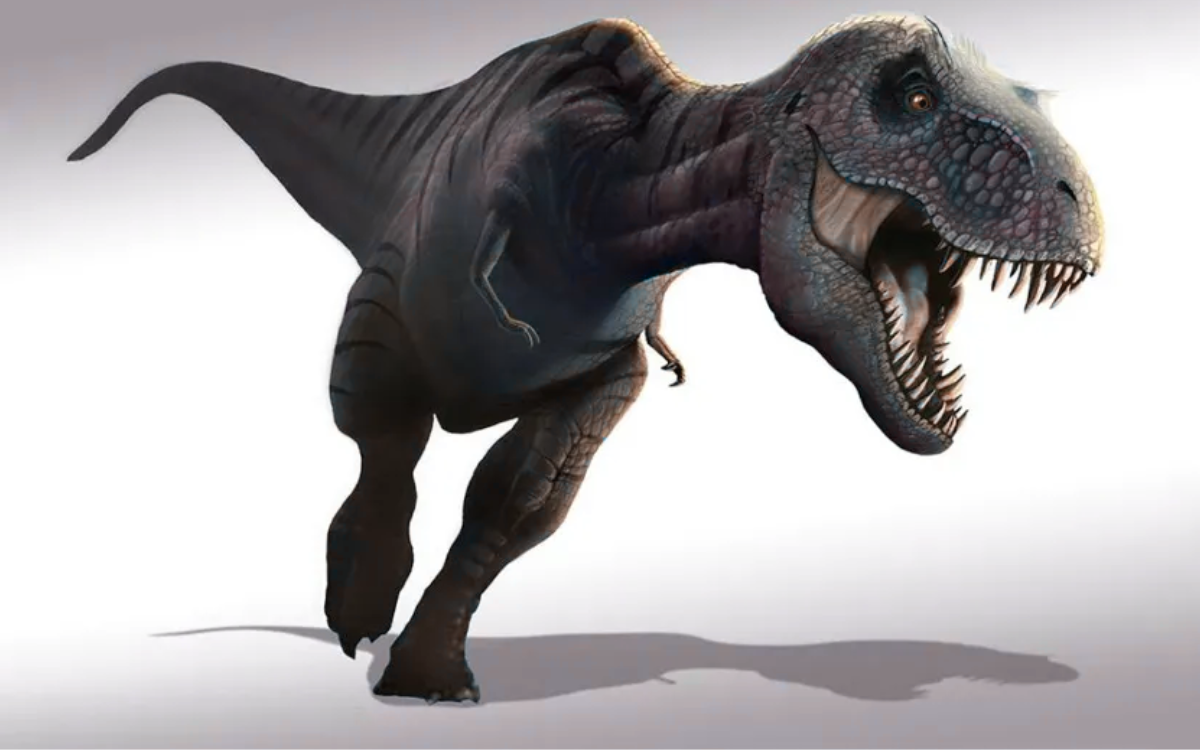 Dinosaurs alive today | How dangerous would dinosaurs be today